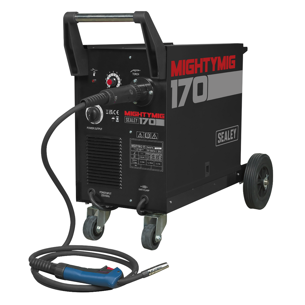 Professional Gas/Gasless MIG Welder with Euro Torch 170A