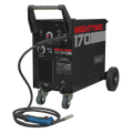 Professional Gas/Gasless MIG Welder with Euro Torch 170A