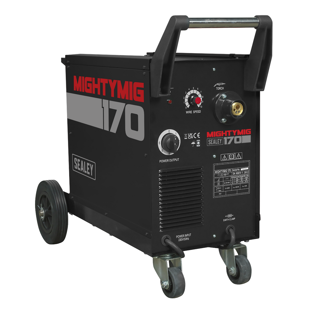 Professional Gas/Gasless MIG Welder with Euro Torch 170A