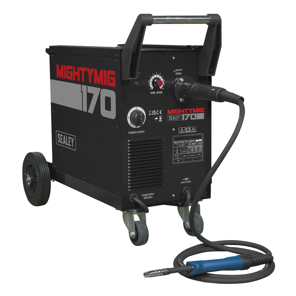 Professional Gas/Gasless MIG Welder with Euro Torch 170A