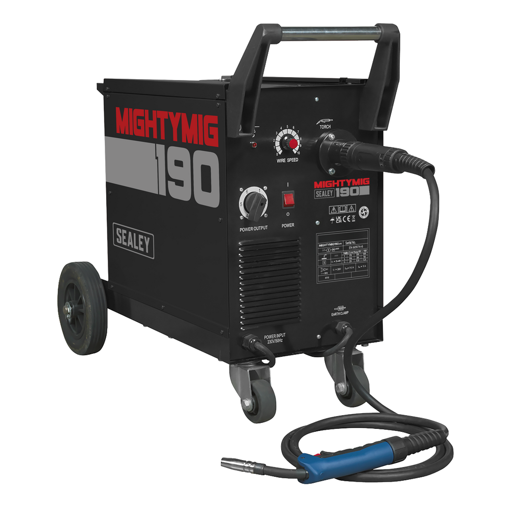 Professional Gas/Gasless MIG Welder with Euro Torch 190A