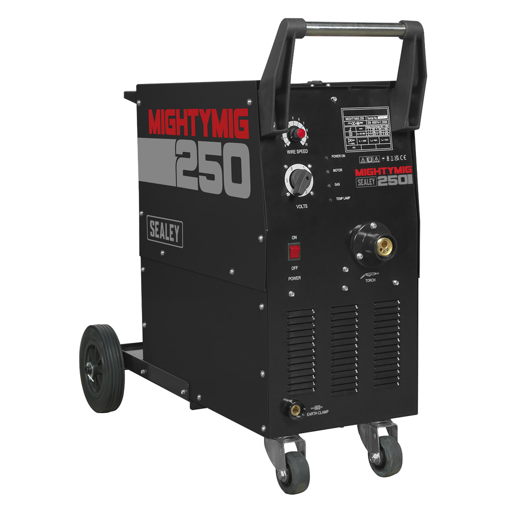 Professional Gas/Gasless MIG Welder with Euro Torch 250A