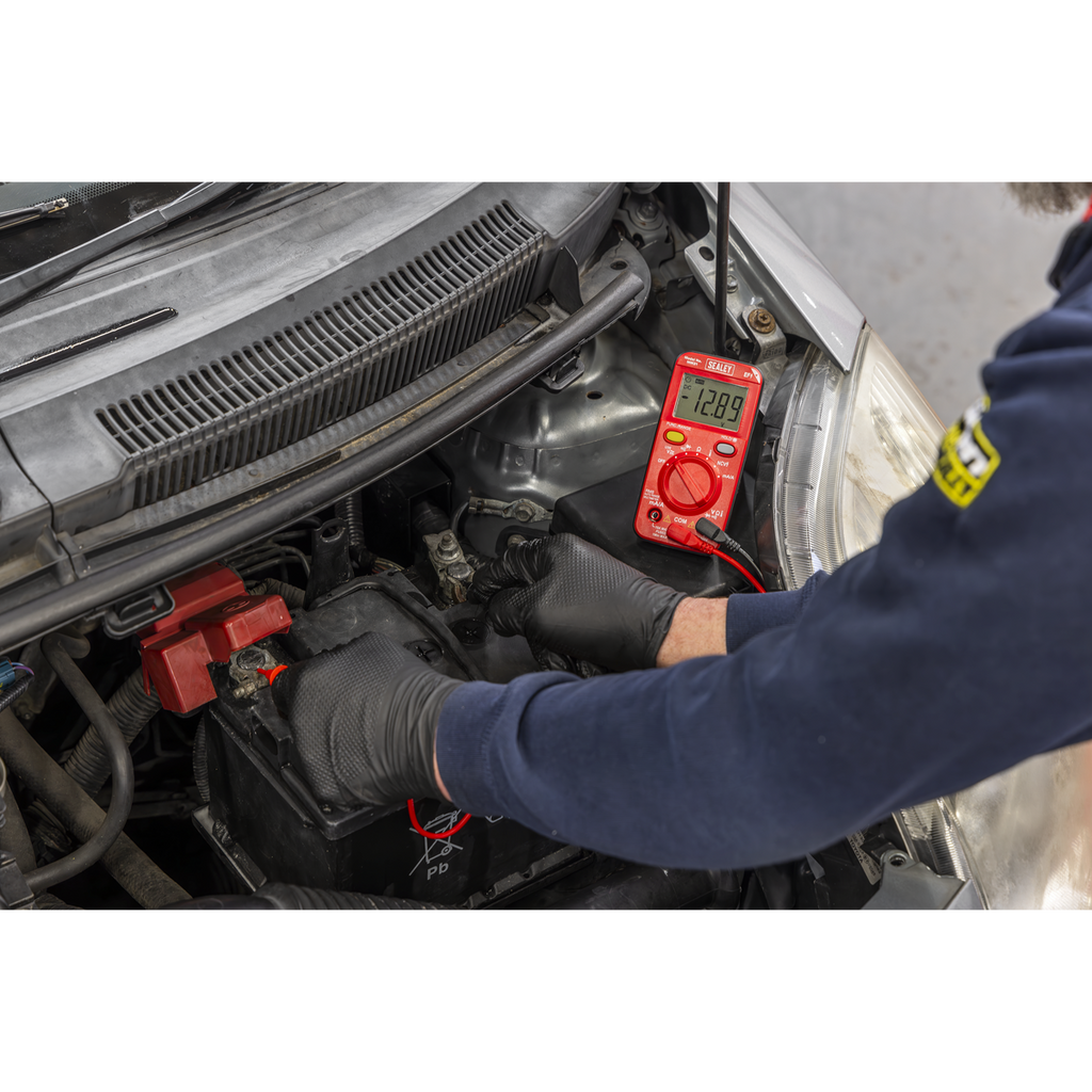 10-Function Professional Auto-Ranging Digital Multimeter