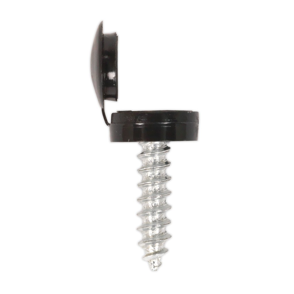 Clip Strip Deal - Mixed Numberplate Screws