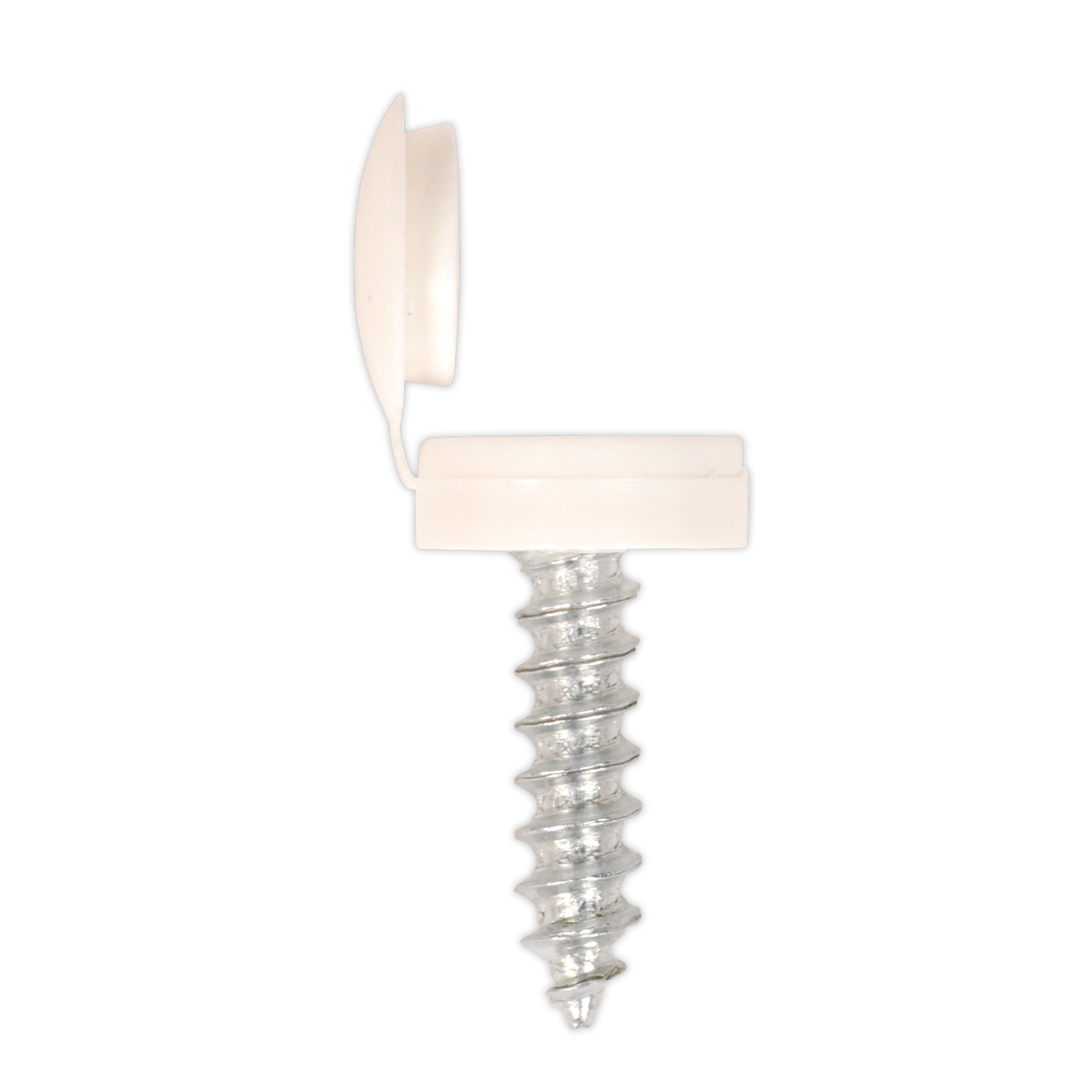 Clip Strip Deal - Mixed Numberplate Screws
