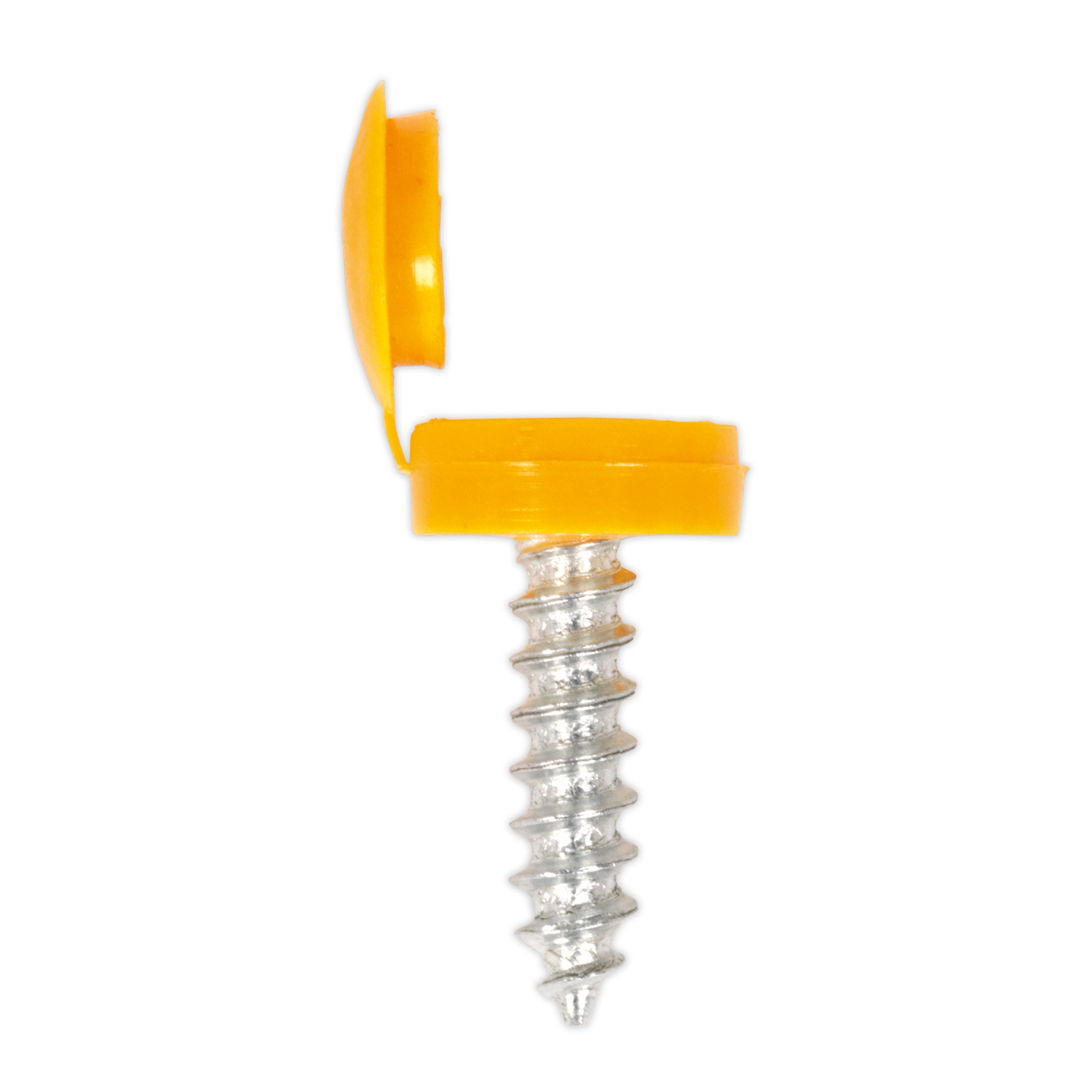 Clip Strip Deal - Mixed Numberplate Screws