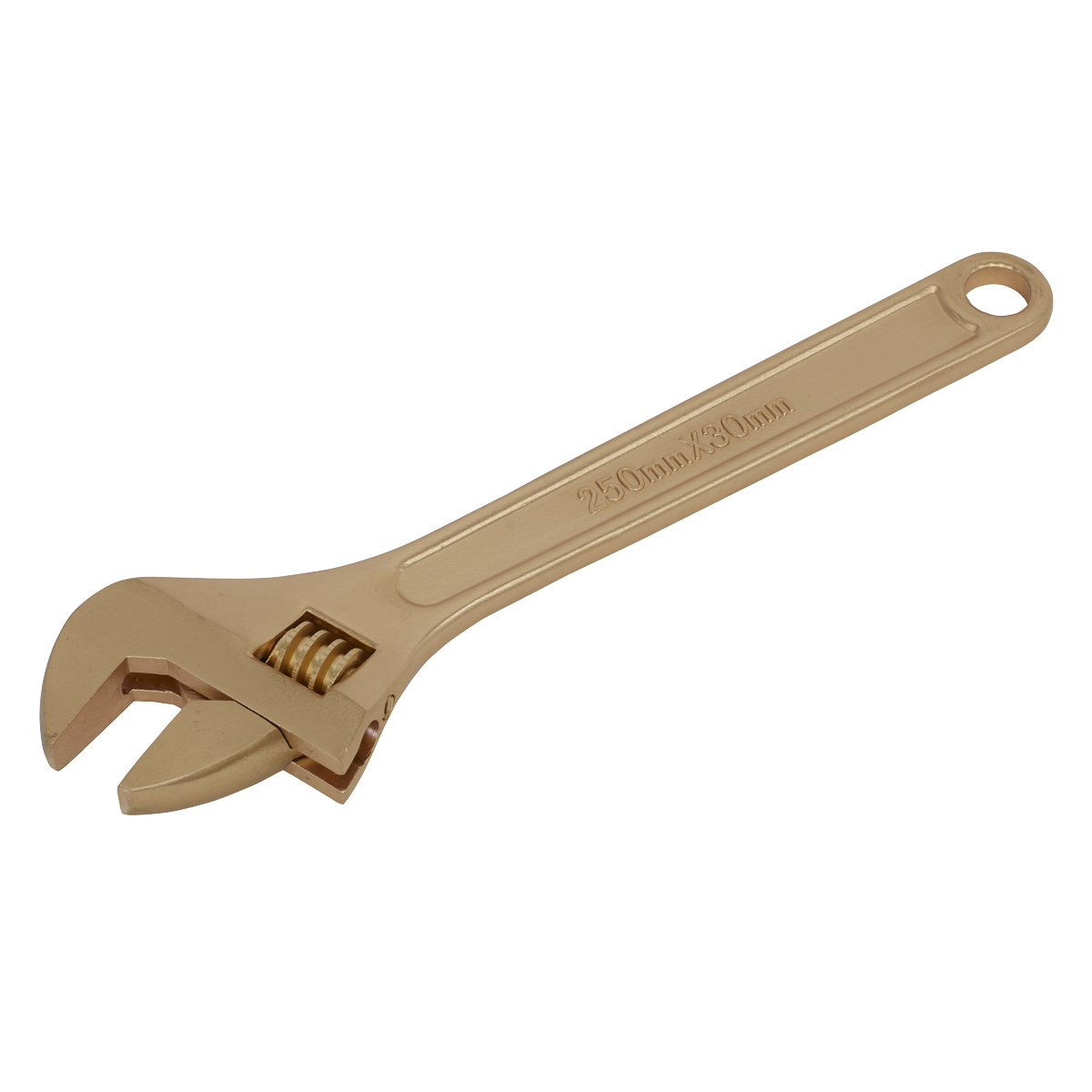 Premier Non-Sparking Adjustable Wrench 250mm