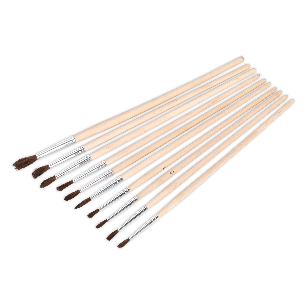 Touch-Up Paint Brush Assortment with Wooden Handle 10pc