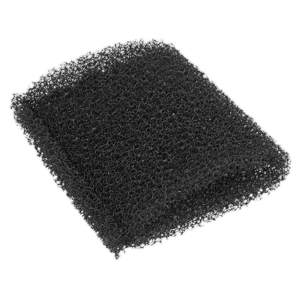 Foam Filter for PC195SD, Pack of 10 (PC195SDFF10)