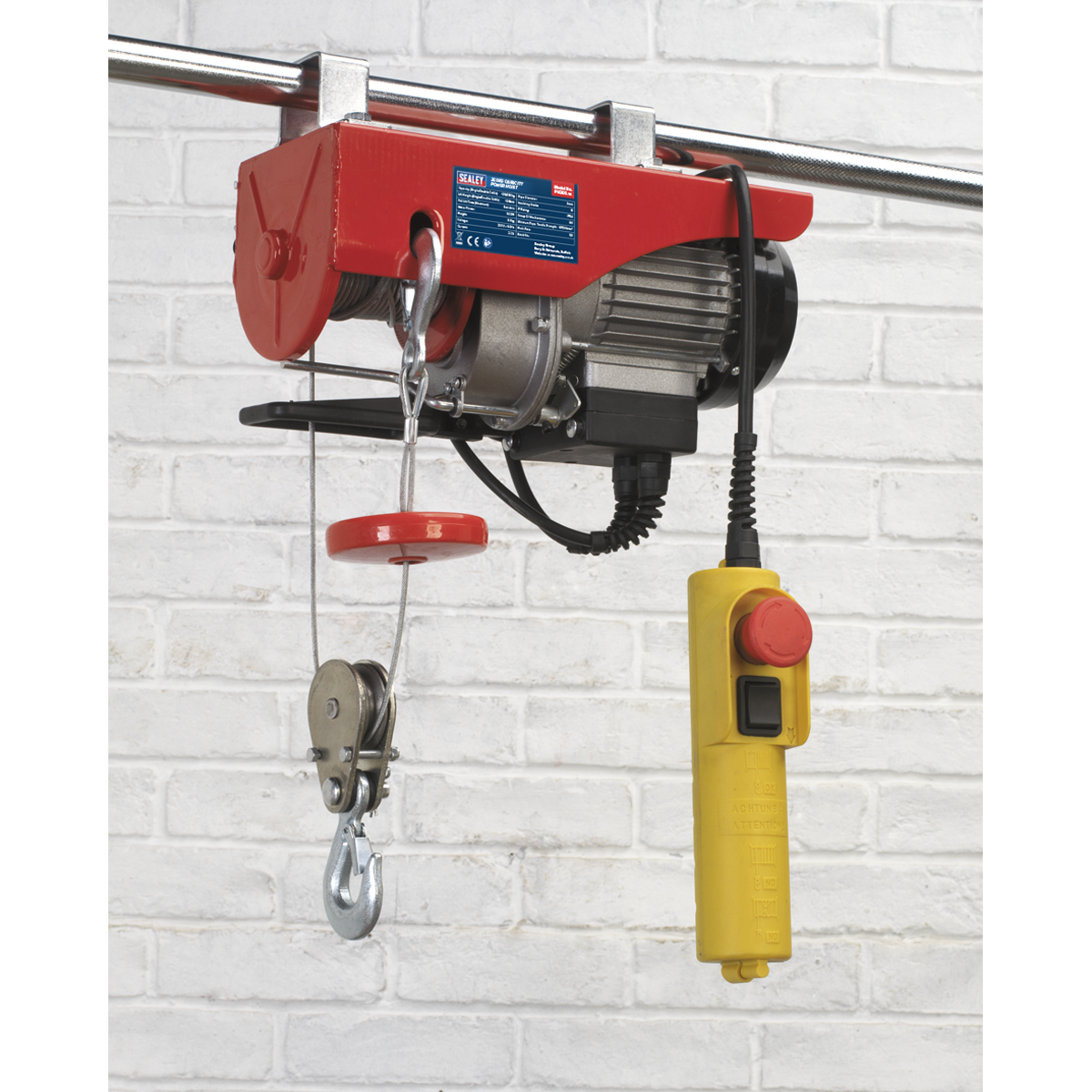 Power Hoist 250kg Capacity 230V
