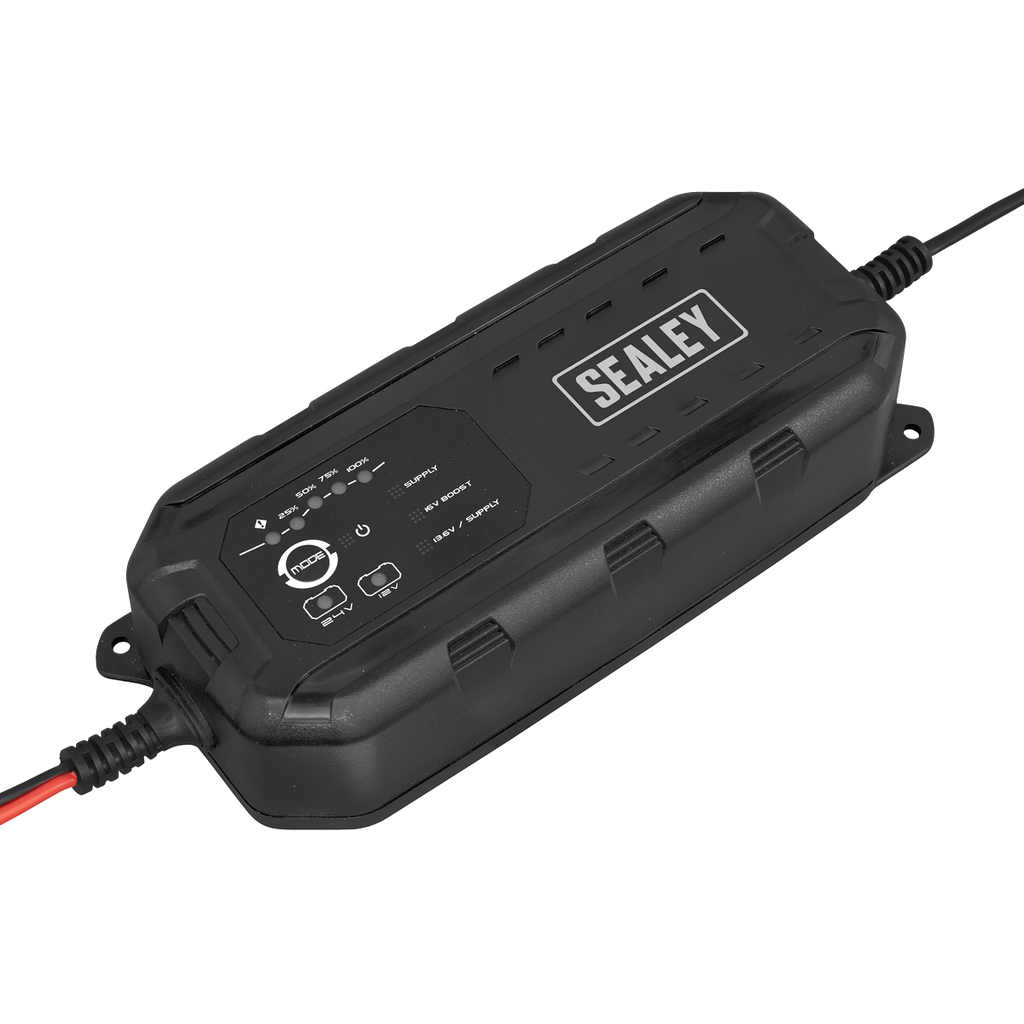 12/24V Premier RoadStart® Jump Starter 6400A
