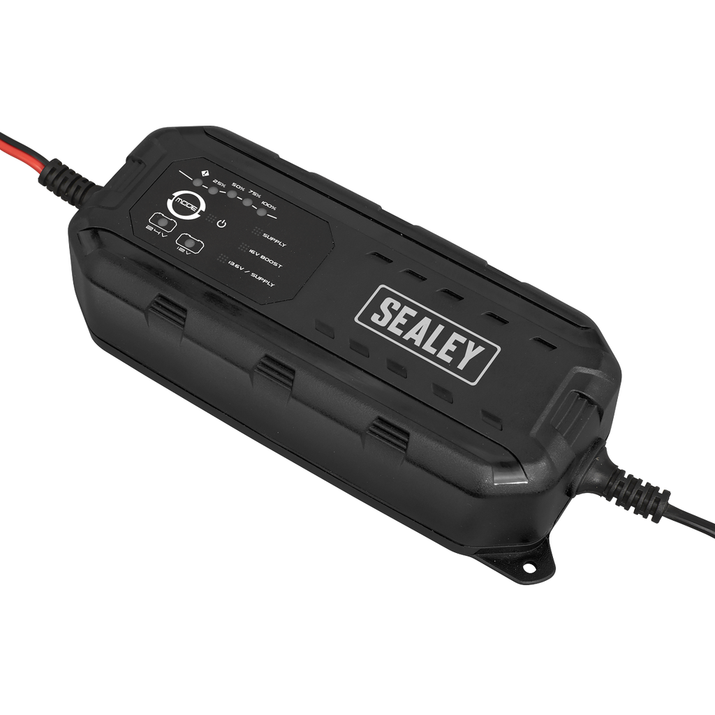 12/24V Premier RoadStart® Jump Starter 6400A