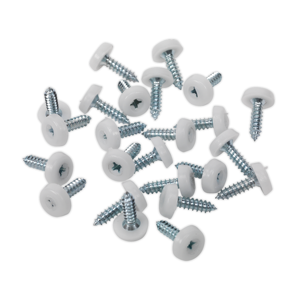 Numberplate Screw with Plastic Enclosed Head 4.8 x 18mm, Whi