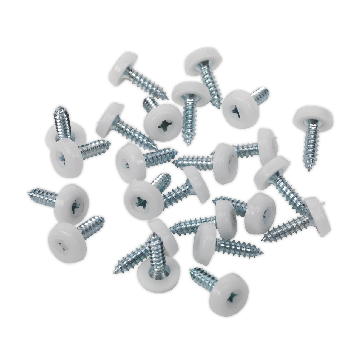 Clip Strip Deal - Mixed Numberplate Screws
