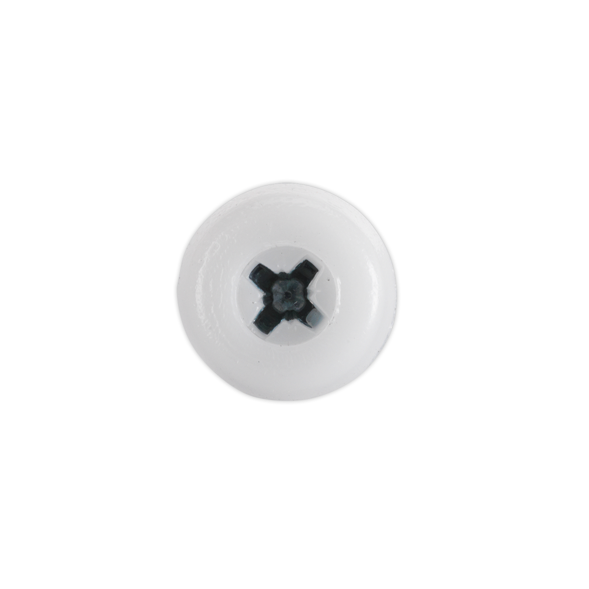 Numberplate Screw with Plastic Enclosed Head 4.8 x 18mm, Whi