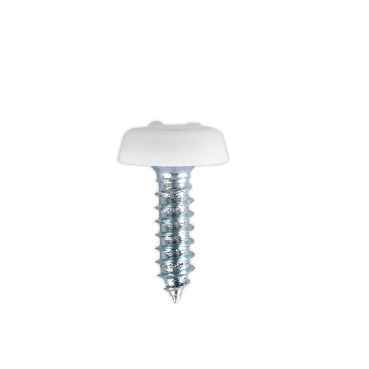 Numberplate Screw with Plastic Enclosed Head 4.8 x 18mm, Whi