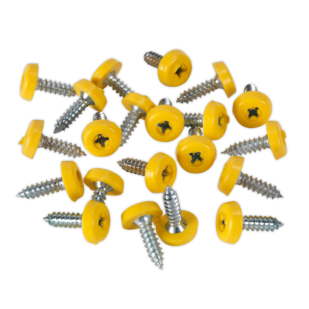 Clip Strip Deal - Mixed Numberplate Screws