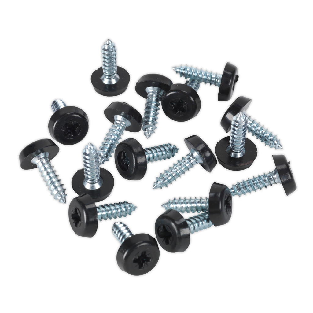 Clip Strip Deal - Mixed Numberplate Screws