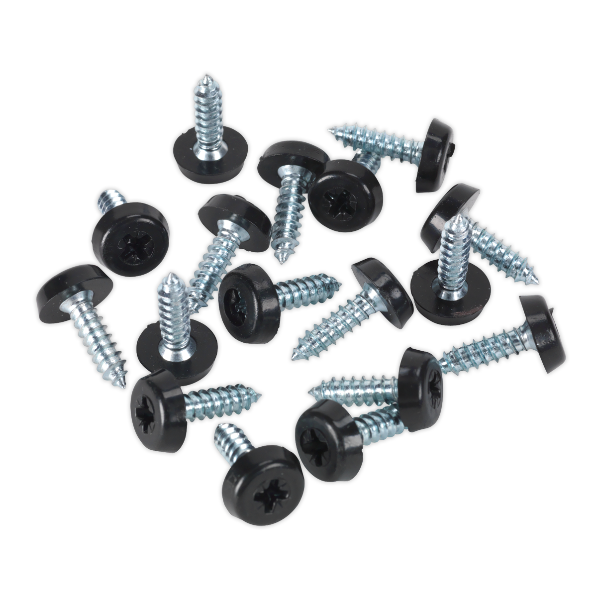 Clip Strip Deal - Mixed Numberplate Screws