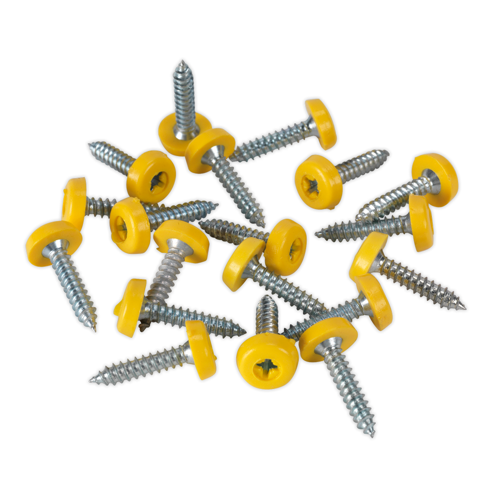 Numberplate Screw with Plastic Enclosed Head 4.8 x 24mm, Yel