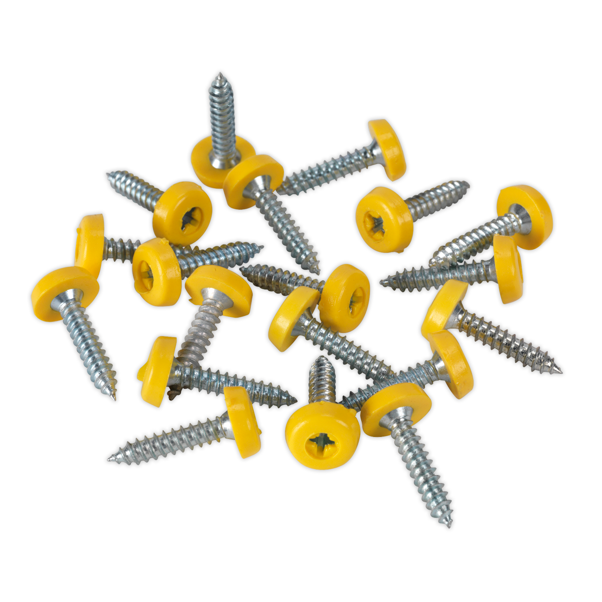 Clip Strip Deal - Mixed Numberplate Screws