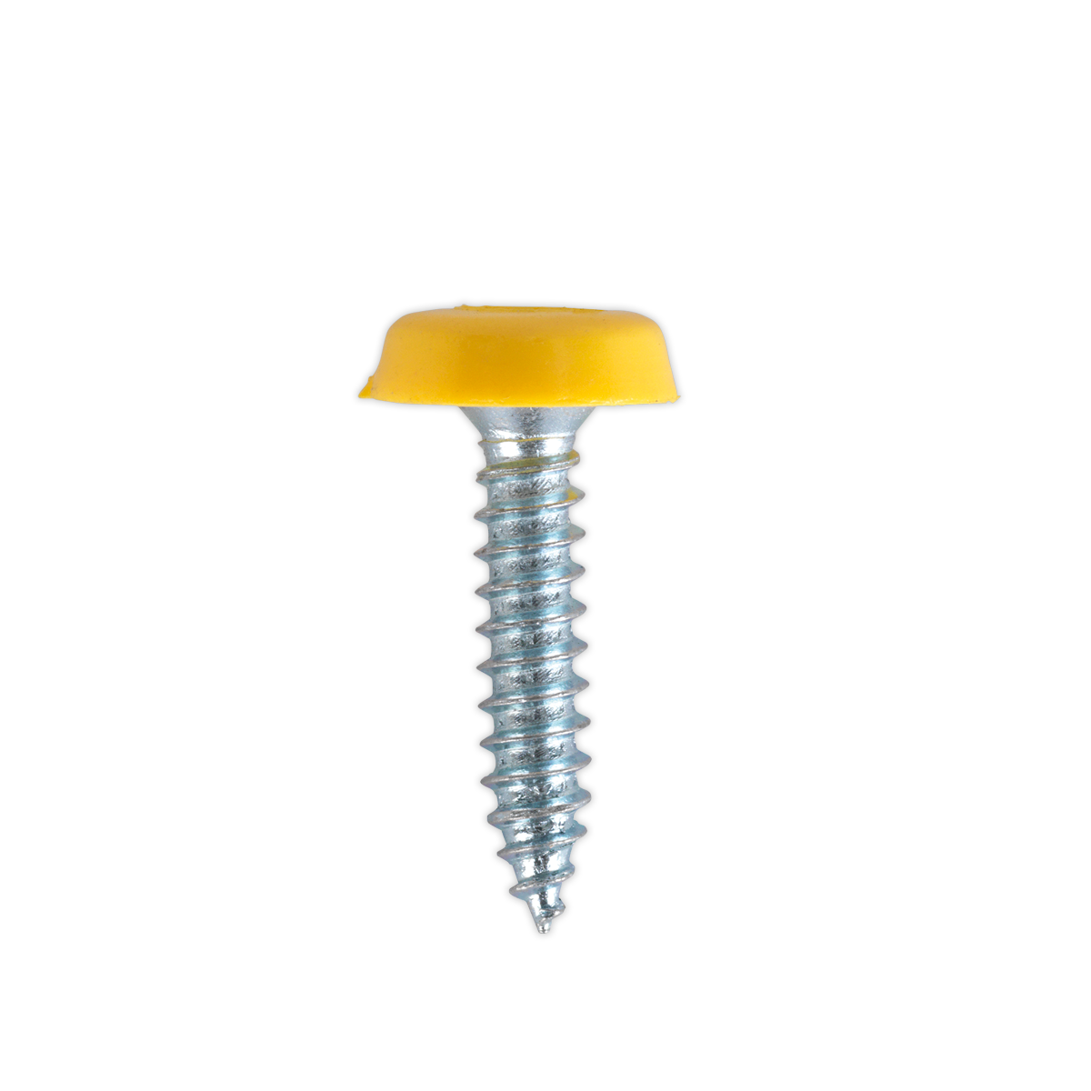 Numberplate Screw with Plastic Enclosed Head 4.8 x 24mm, Yel