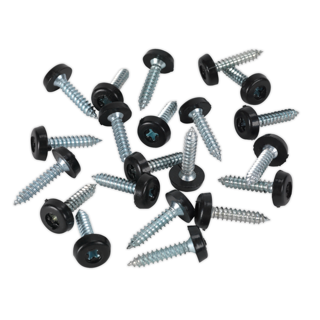 Clip Strip Deal - Mixed Numberplate Screws