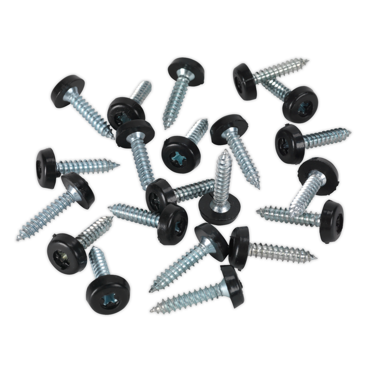 Clip Strip Deal - Mixed Numberplate Screws