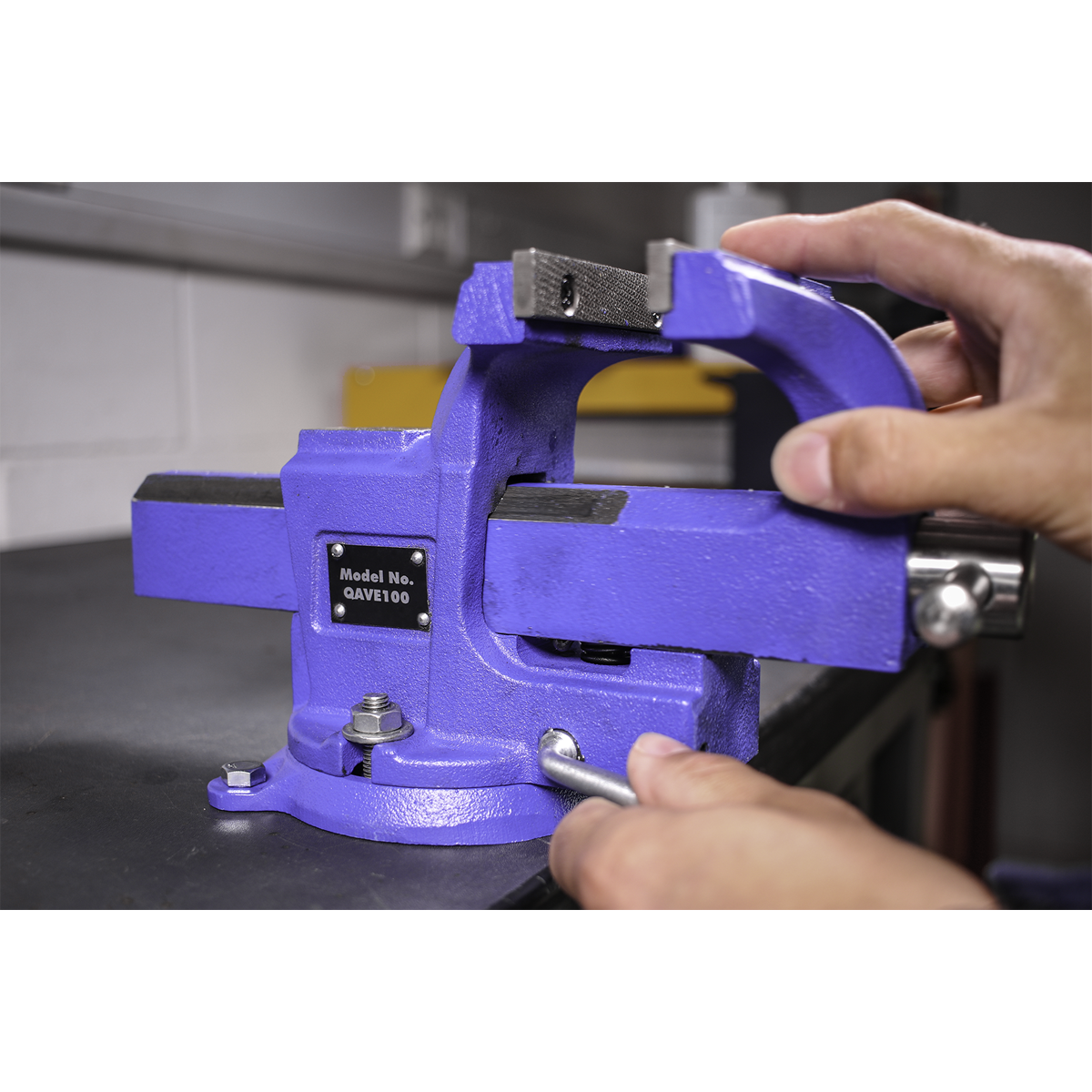 Quick Action SG Iron Vice with Swivel Base 100mm