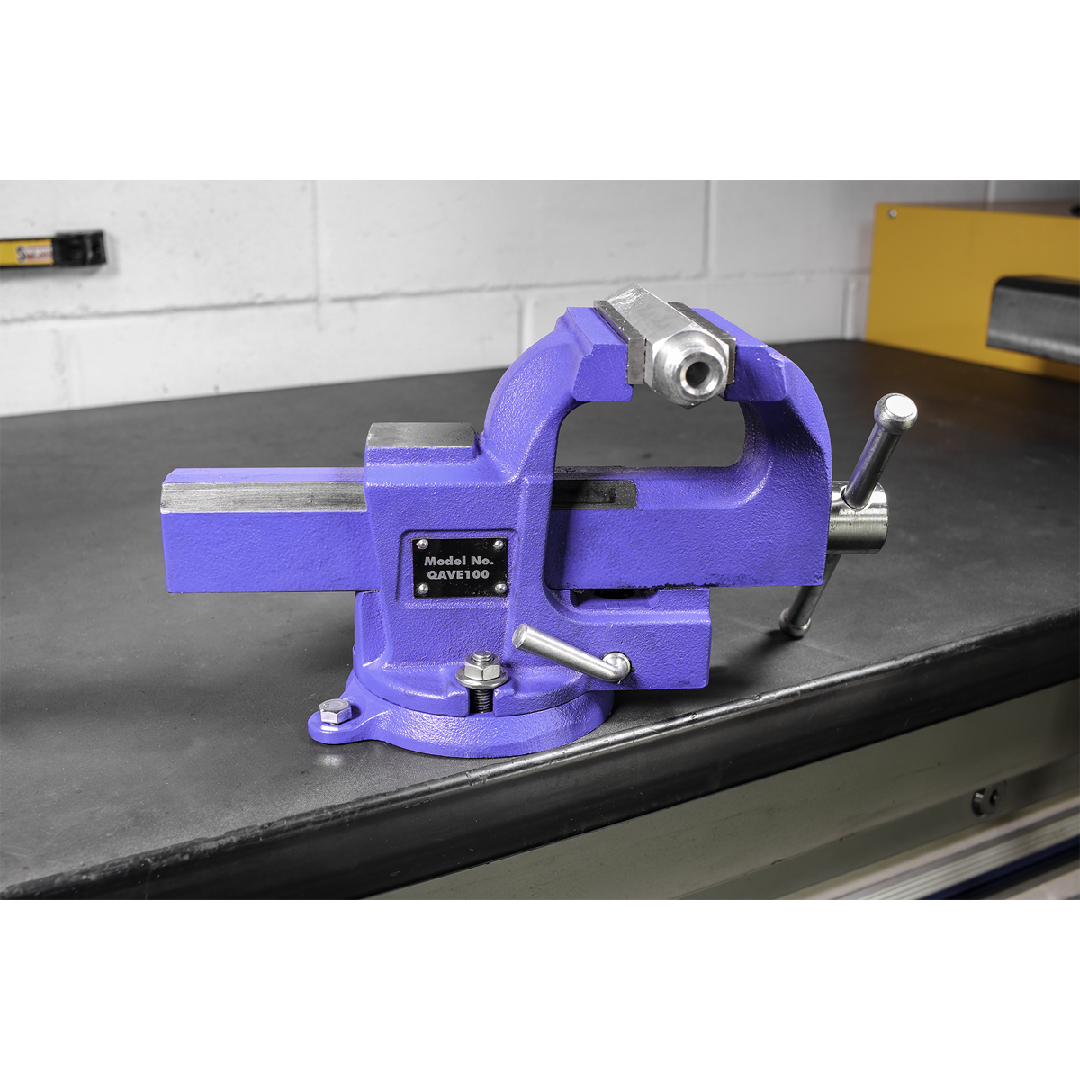 Quick Action SG Iron Vice with Swivel Base 100mm