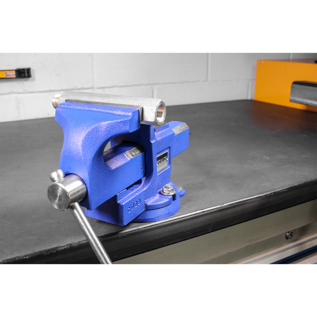 Quick Action SG Iron Vice with Swivel Base 100mm