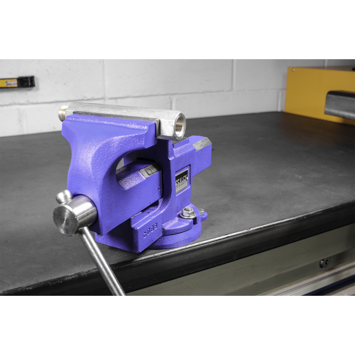 Quick Action SG Iron Vice with Swivel Base 100mm