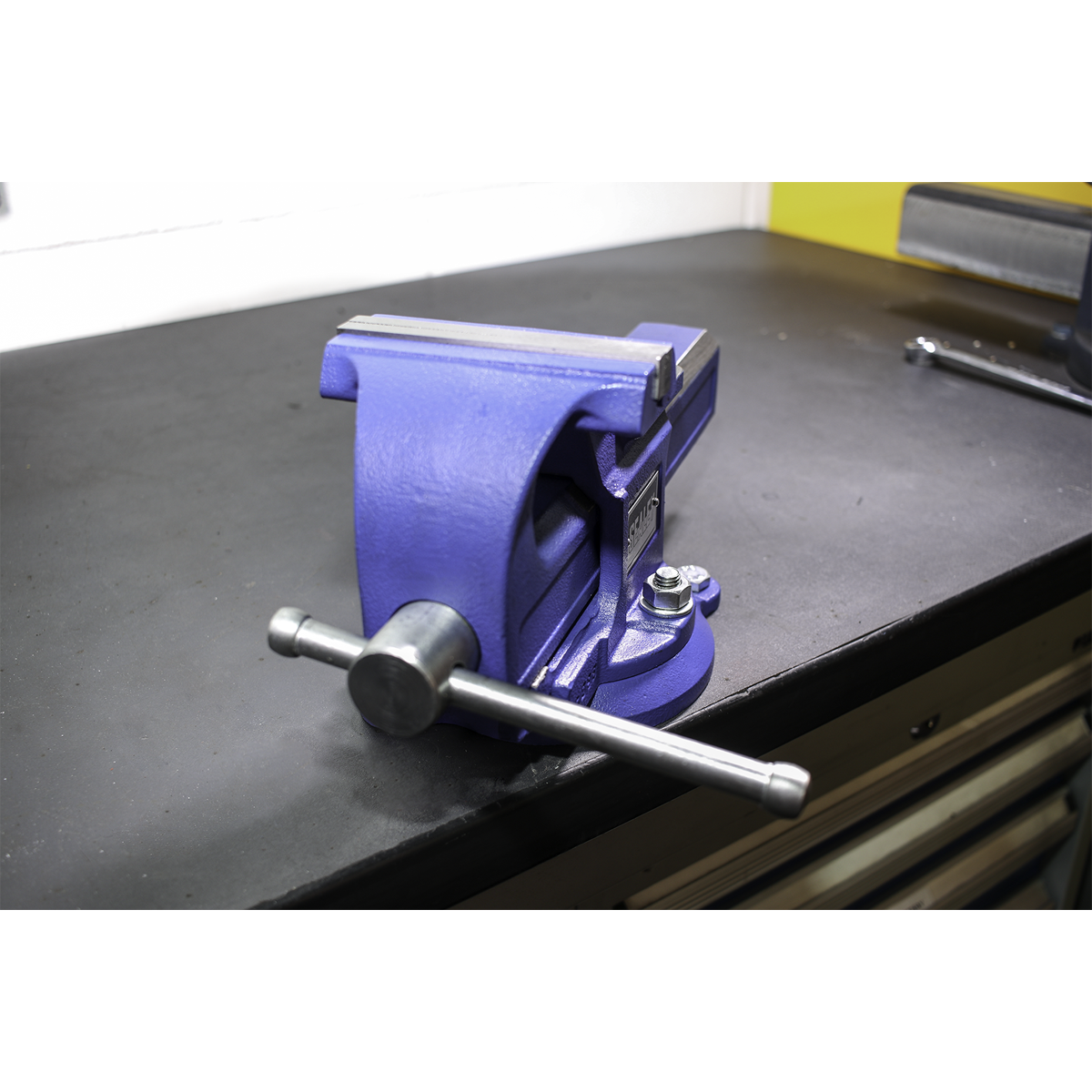 Quick Action SG Iron Vice with Swivel Base 125mm