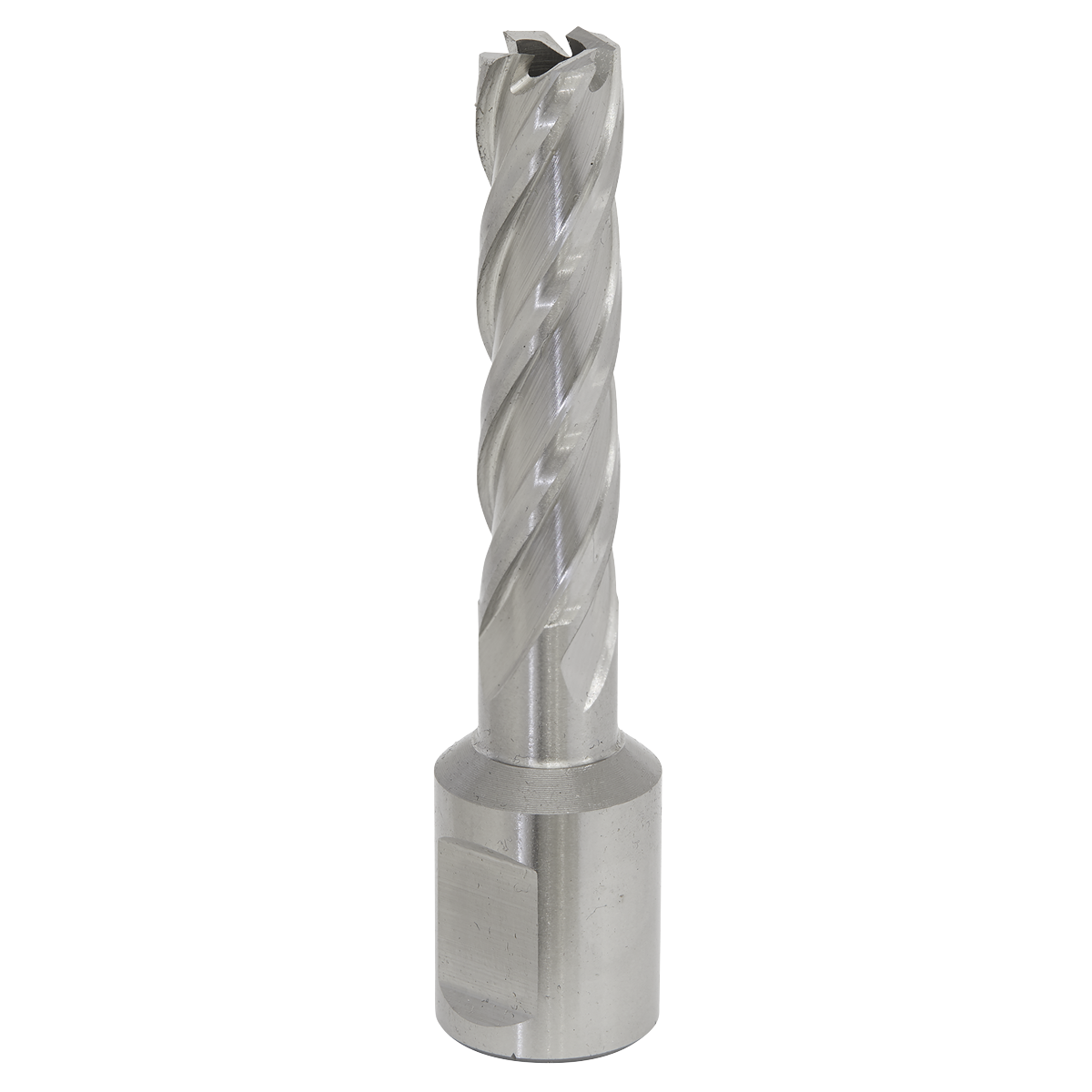Worksafe® 12mm HSS Mag Drill Bit Cut Depth 50mm