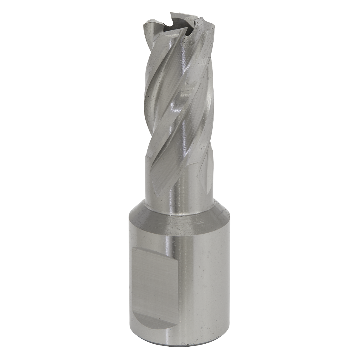 Worksafe® 12mm HSS Mag Drill Bit Cut Depth 25mm