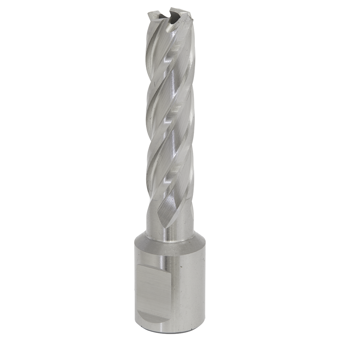 Worksafe® 13mm HSS Mag Drill Bit Cut Depth 50mm