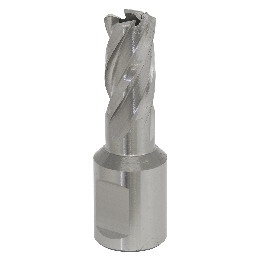 Worksafe® 13mm HSS Mag Drill Bit Cut Depth 25mm