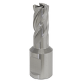 Worksafe® 13mm HSS Mag Drill Bit Cut Depth 25mm
