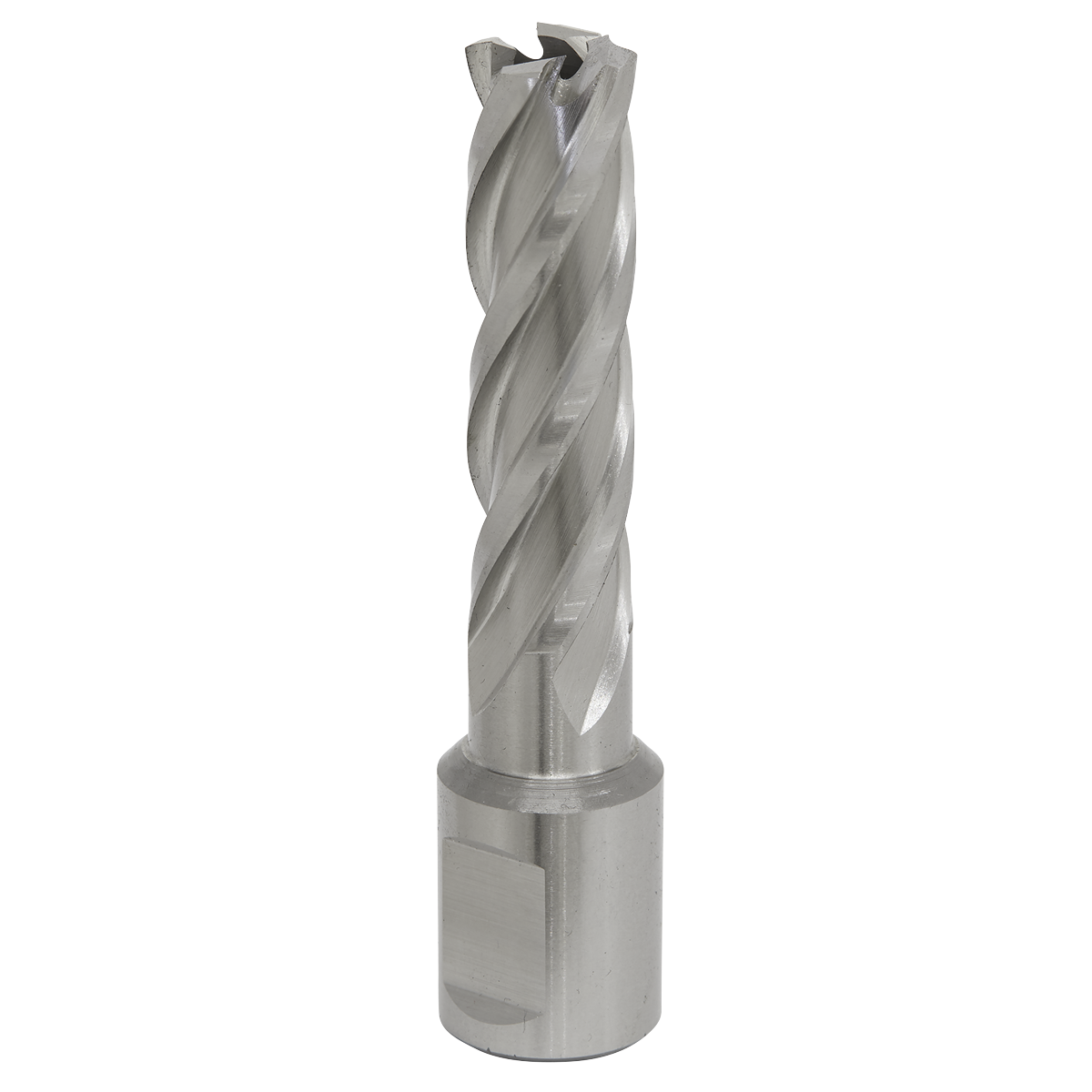 Worksafe® 14mm HSS Mag Drill Bit Cut Depth 50mm
