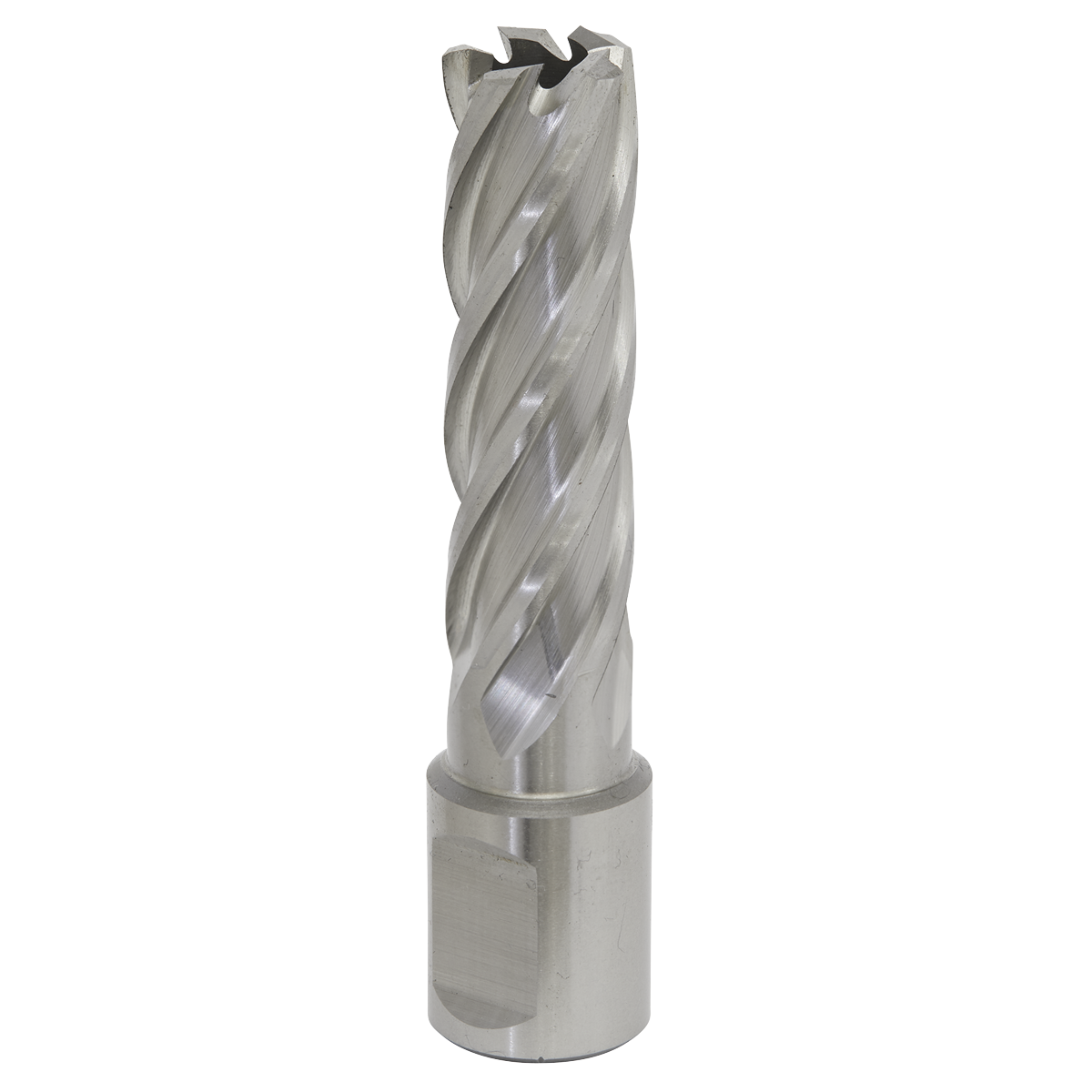 Worksafe® 16mm HSS Mag Drill Bit Cut Depth 50mm
