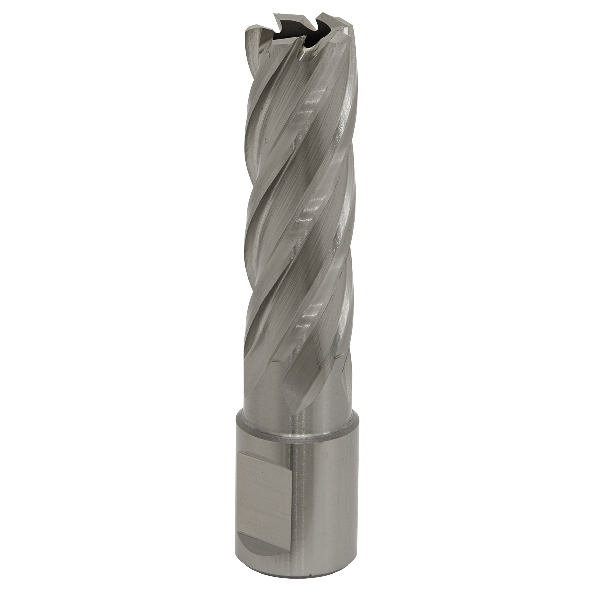Worksafe® 17mm HSS Mag Drill Bit Cut Depth 50mm