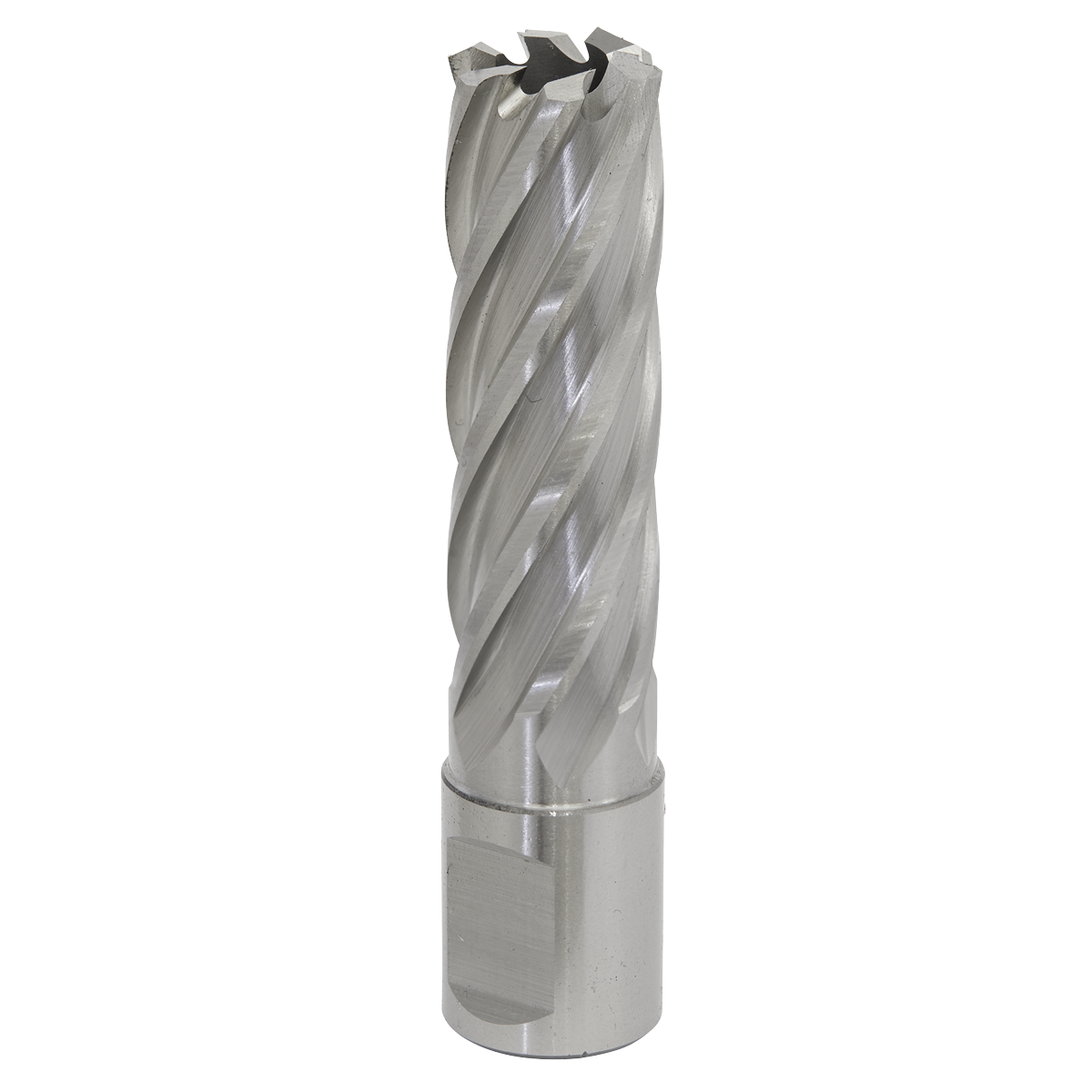 Worksafe® 18mm HSS Mag Drill Bit Cut Depth 50mm