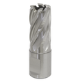 Worksafe® 18mm HSS Mag Drill Bit Cut Depth 25mm