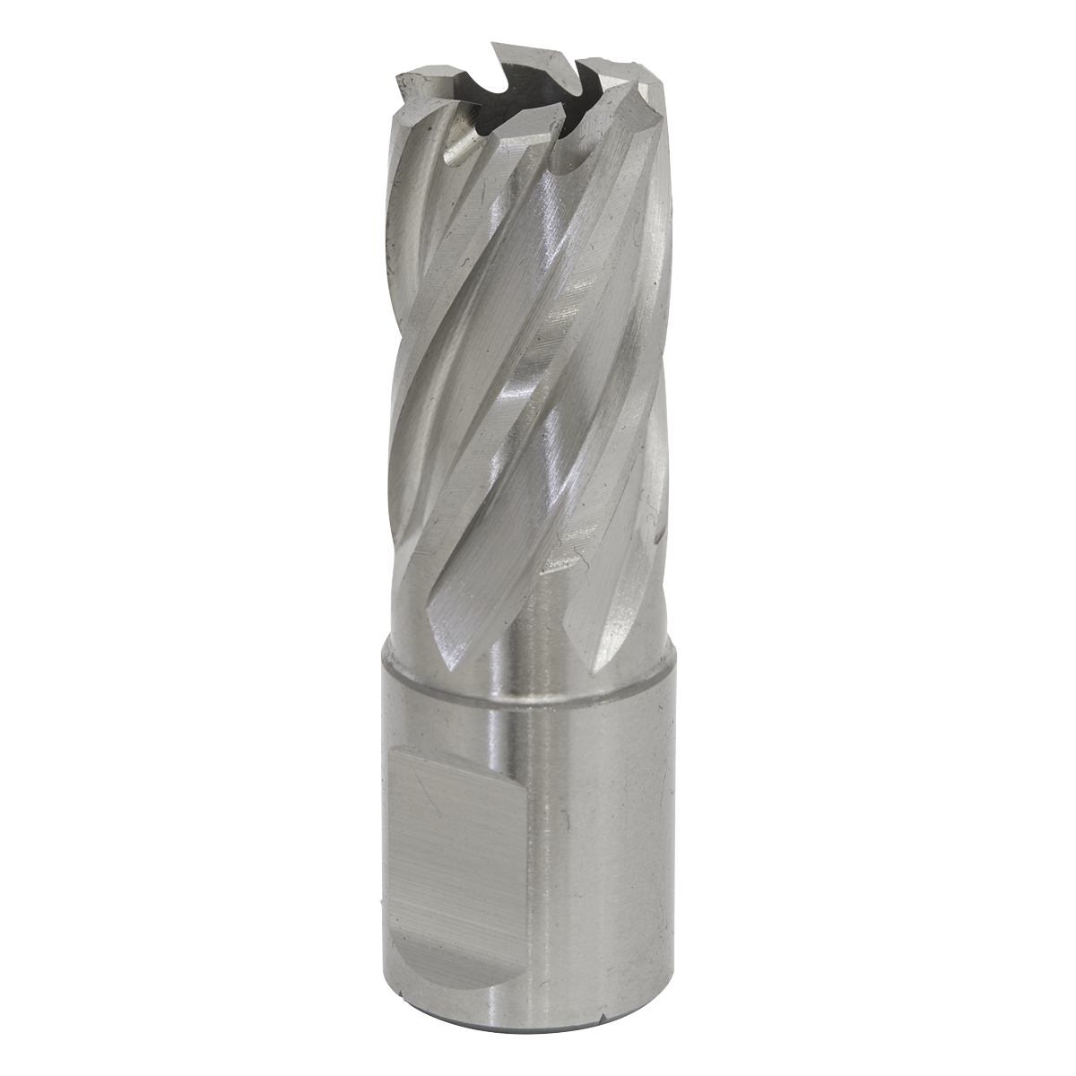 Worksafe® 18mm HSS Mag Drill Bit Cut Depth 25mm