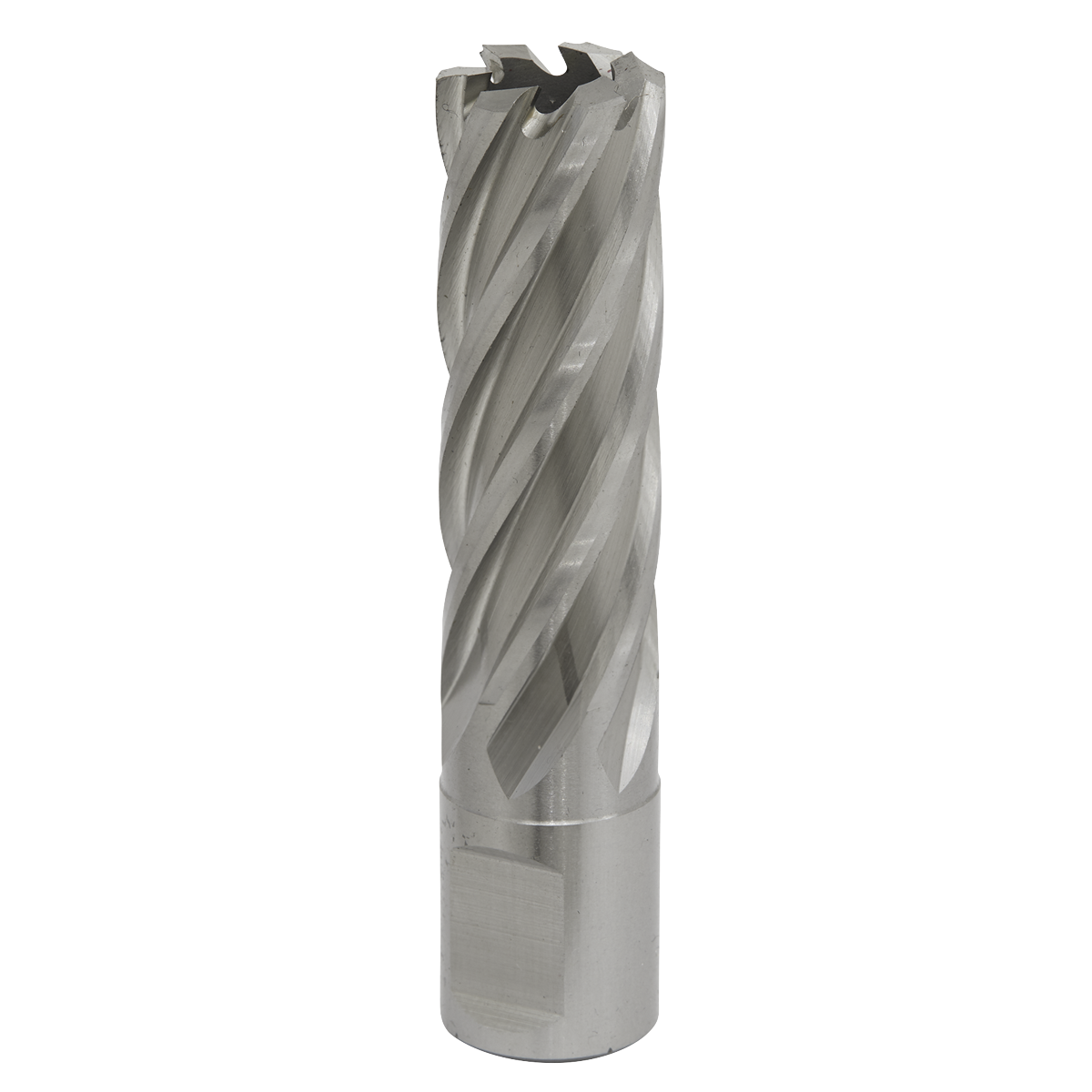 Worksafe® 19mm HSS Mag Drill Bit Cut Depth 50mm