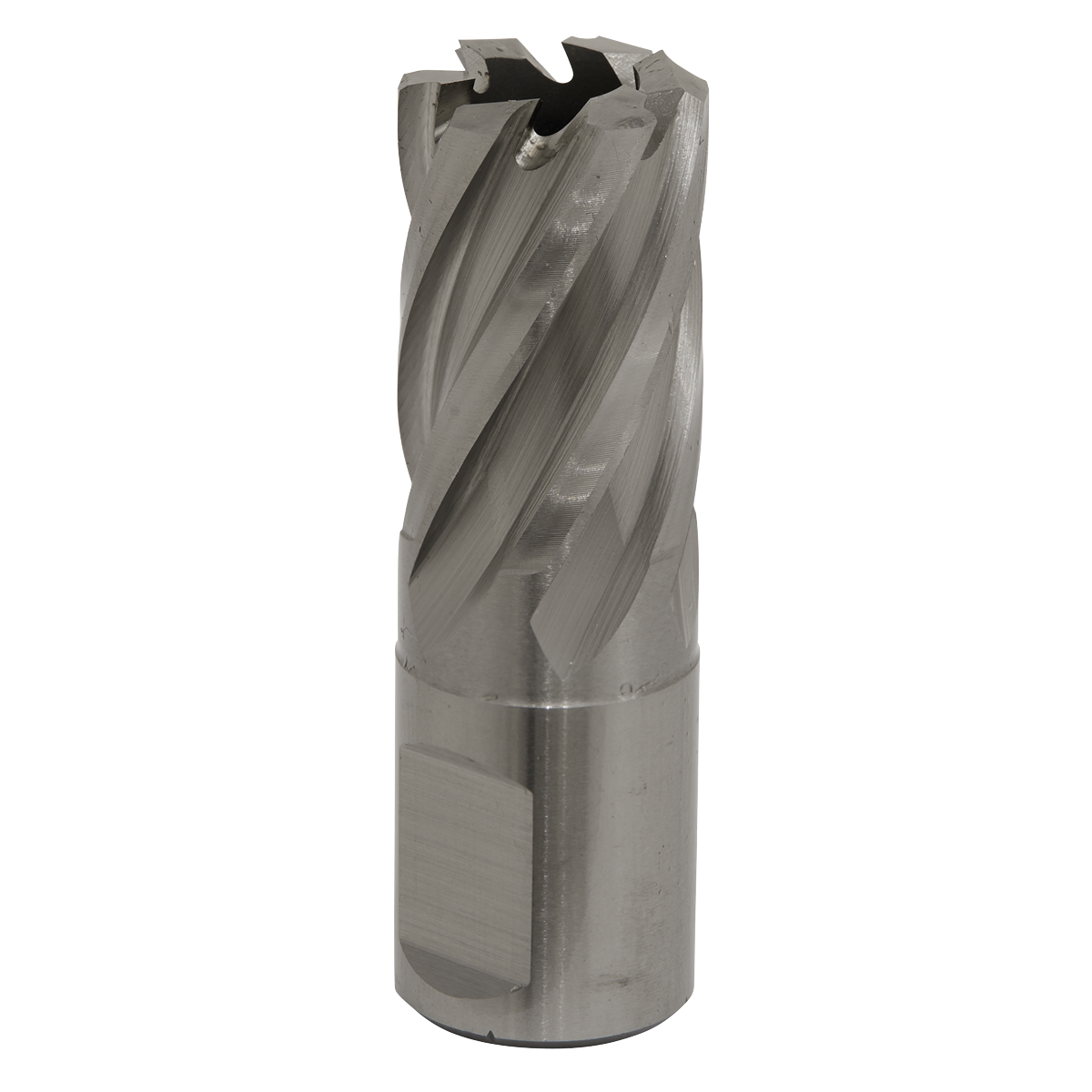 Worksafe® 19mm HSS Mag Drill Bit Cut Depth 25mm
