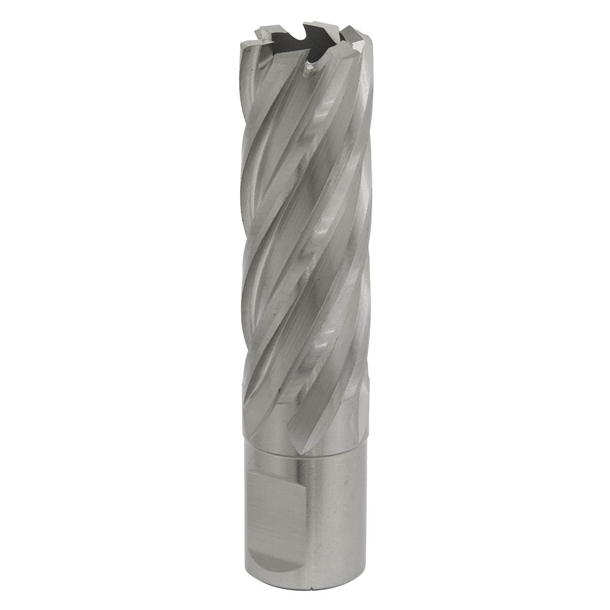Worksafe® 20mm HSS Mag Drill Bit Cut Depth 50mm