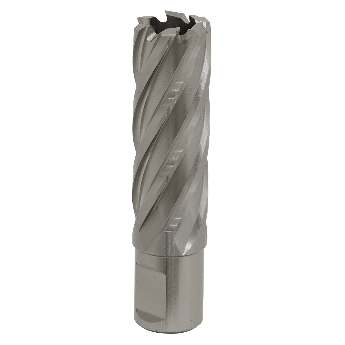 Worksafe® 21mm HSS Mag Drill Bit Cut Depth 50mm