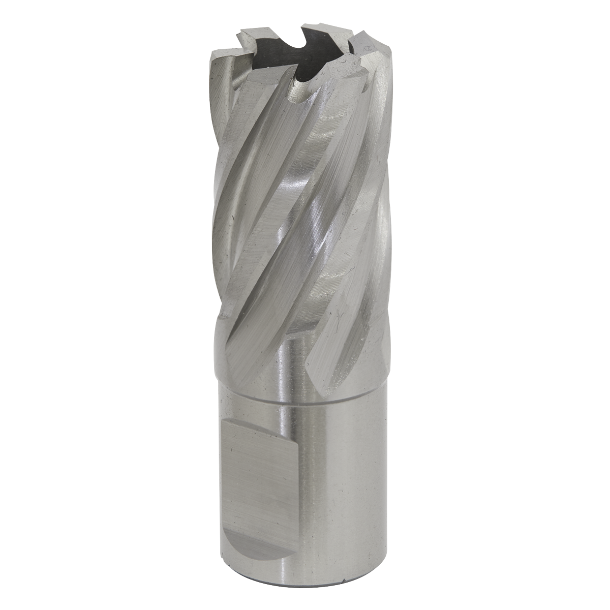 Worksafe® 21mm HSS Mag Drill Bit Cut Depth 25mm