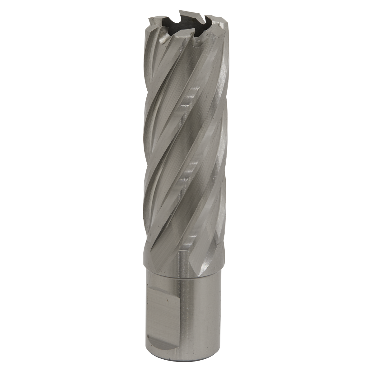 Worksafe® 22mm HSS Mag Drill Bit Cut Depth 50mm